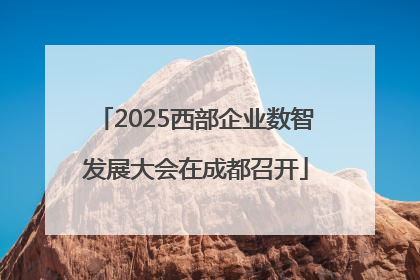 2025西部企业数智发展大会在成都召开