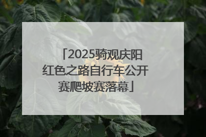 2025骑观庆阳红色之路自行车公开赛爬坡赛落幕
