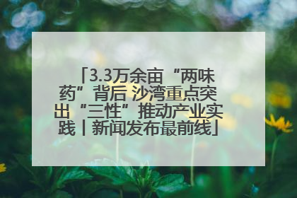 3.3万余亩“两味药”背后 沙湾重点突出“三性”推动产业实践丨新闻发布最前线