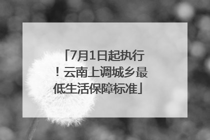 7月1日起执行！云南上调城乡最低生活保障标准