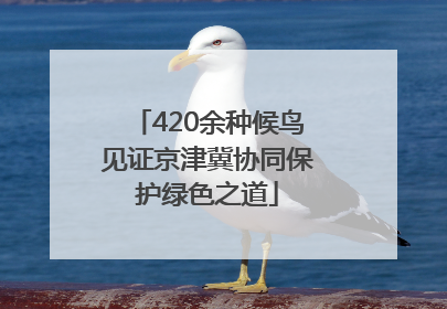 420余种候鸟见证京津冀协同保护绿色之道