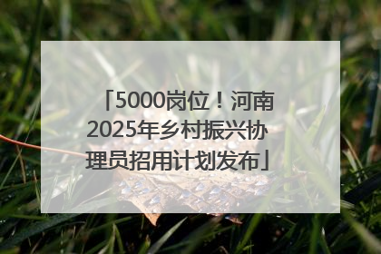 5000岗位！河南2025年乡村振兴协理员招用计划发布