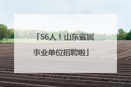 56人！山东省属事业单位招聘啦