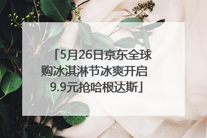 5月26日京东全球购冰淇淋节冰爽开启 9.9元抢哈根达斯