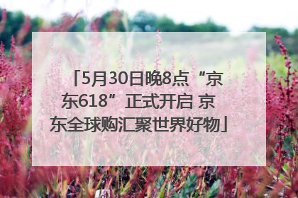5月30日晚8点“京东618”正式开启 京东全球购汇聚世界好物