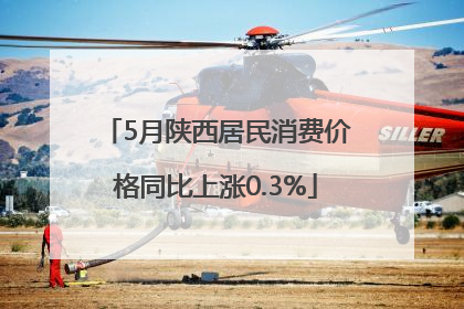 5月陕西居民消费价格同比上涨0.3%