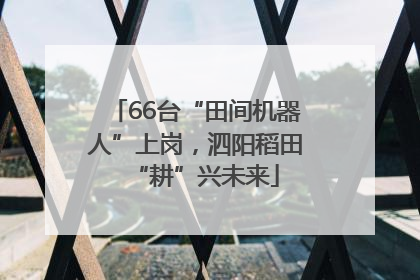 66台“田间机器人”上岗，泗阳稻田“耕”兴未来