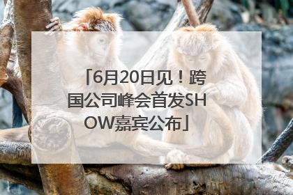 6月20日见！跨国公司峰会首发SHOW嘉宾公布