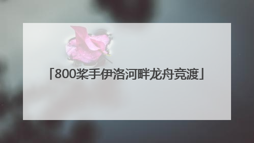 800桨手伊洛河畔龙舟竞渡