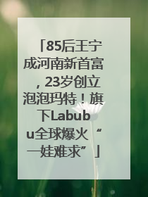 85后王宁成河南新首富，23岁创立泡泡玛特！旗下Labubu全球爆火“一娃难求”
