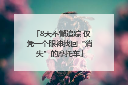 8天不懈追踪 仅凭一个眼神找回“消失”的摩托车