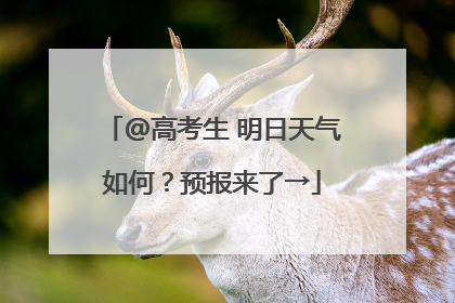 @高考生 明日天气如何？预报来了→