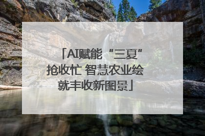 AI赋能“三夏”抢收忙 智慧农业绘就丰收新图景