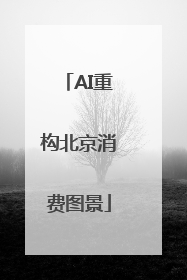 AI重构北京消费图景