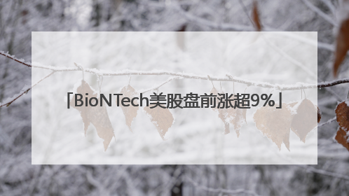BioNTech美股盘前涨超9%