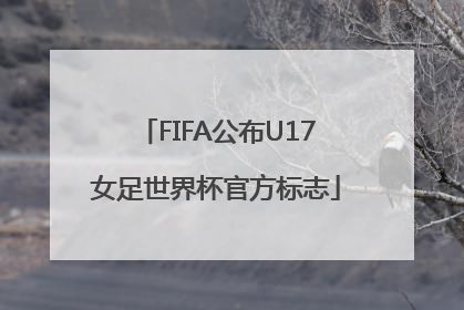 FIFA公布U17女足世界杯官方标志