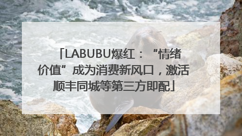 LABUBU爆红：“情绪价值”成为消费新风口，激活顺丰同城等第三方即配
