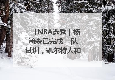 NBA选秀｜杨瀚森已完成11队试训，凯尔特人和太阳更适合他