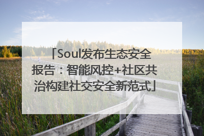 Soul发布生态安全报告:智能风控+社区共治构建社交安全新范式